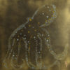 vente-oeuvre -art-contemporain